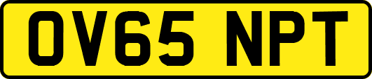OV65NPT