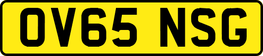 OV65NSG