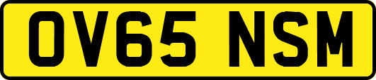 OV65NSM