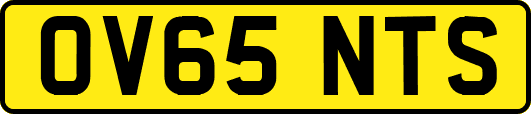 OV65NTS