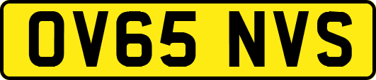 OV65NVS