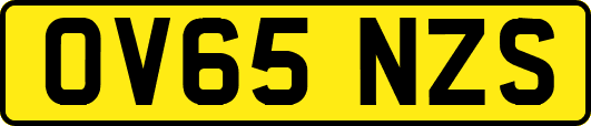 OV65NZS
