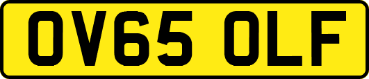 OV65OLF