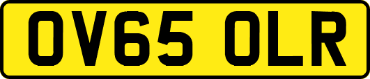 OV65OLR
