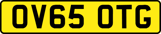 OV65OTG