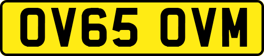 OV65OVM