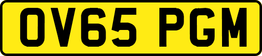 OV65PGM