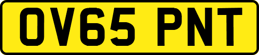 OV65PNT