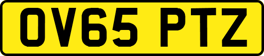 OV65PTZ