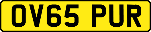 OV65PUR