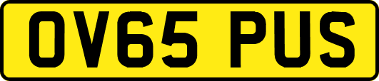 OV65PUS