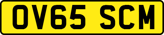 OV65SCM