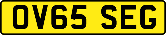 OV65SEG
