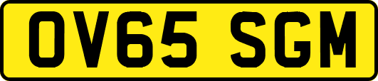 OV65SGM