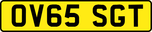 OV65SGT