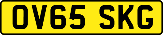 OV65SKG