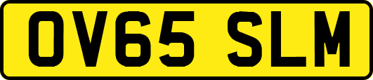 OV65SLM