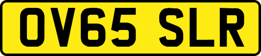 OV65SLR