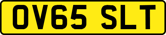 OV65SLT