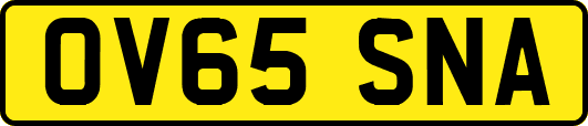OV65SNA