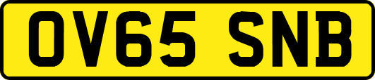 OV65SNB