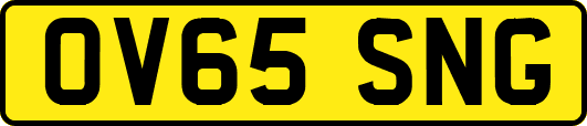 OV65SNG