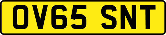 OV65SNT