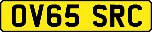 OV65SRC