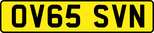 OV65SVN