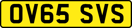 OV65SVS