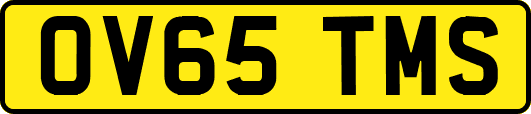 OV65TMS
