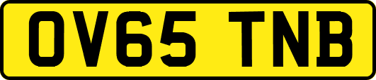 OV65TNB