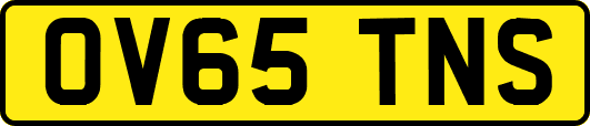 OV65TNS