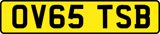 OV65TSB
