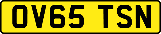 OV65TSN