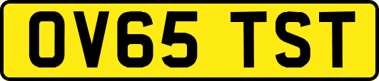 OV65TST