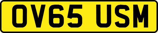 OV65USM