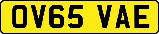 OV65VAE