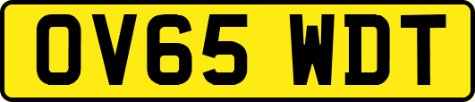 OV65WDT