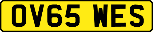 OV65WES