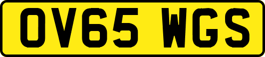 OV65WGS