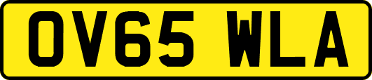 OV65WLA