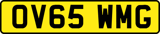 OV65WMG