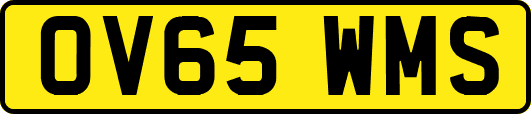 OV65WMS