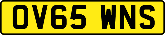 OV65WNS