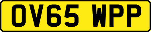 OV65WPP