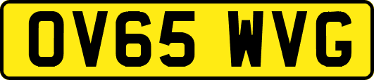 OV65WVG