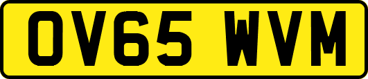 OV65WVM