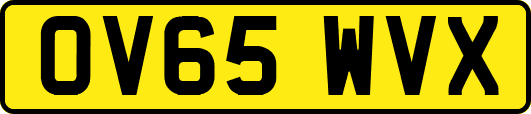 OV65WVX