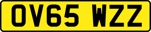 OV65WZZ